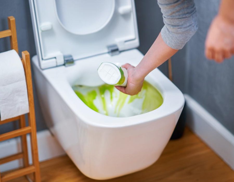 picture-of-cleaning-toilet-seat-with-chemicals